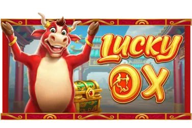 8855bet66