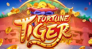 8855bet66
